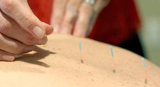 Alchemical Acupuncture Services | Birds Nest Acupuncture